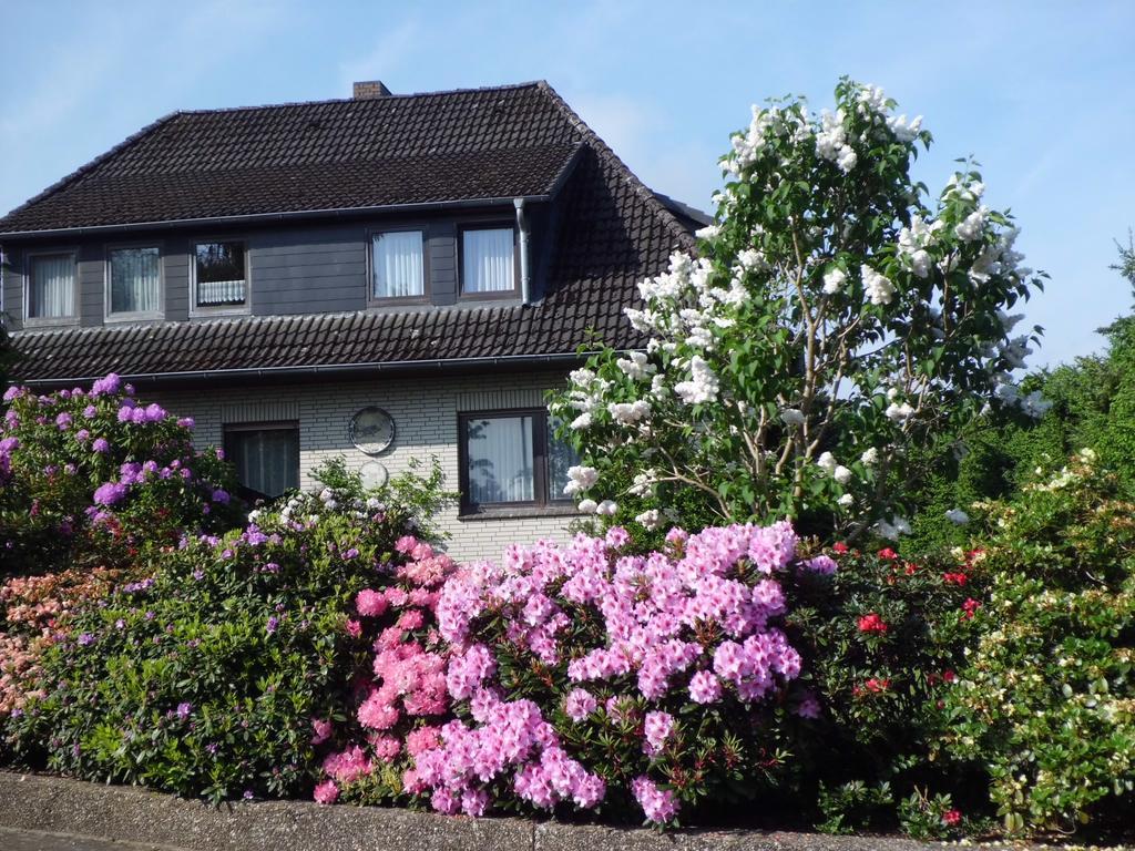 Haus Wiesel Bispingen Exterior foto